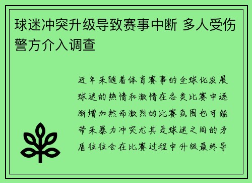 球迷冲突升级导致赛事中断 多人受伤警方介入调查
